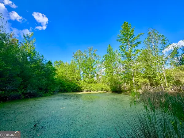 1300 Robinson Street, Roopville, GA 30170