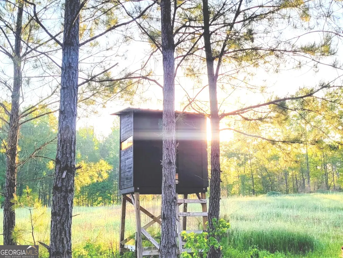 80 Highway, Culloden, GA 31016 - #1