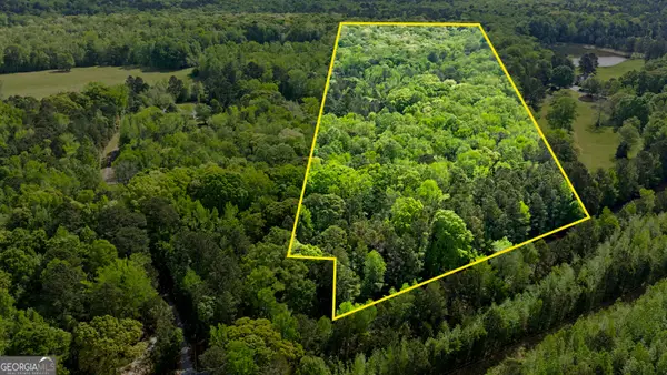 N OF 482 Antioch Road - 25.596 Acres, Fayetteville, GA 30215