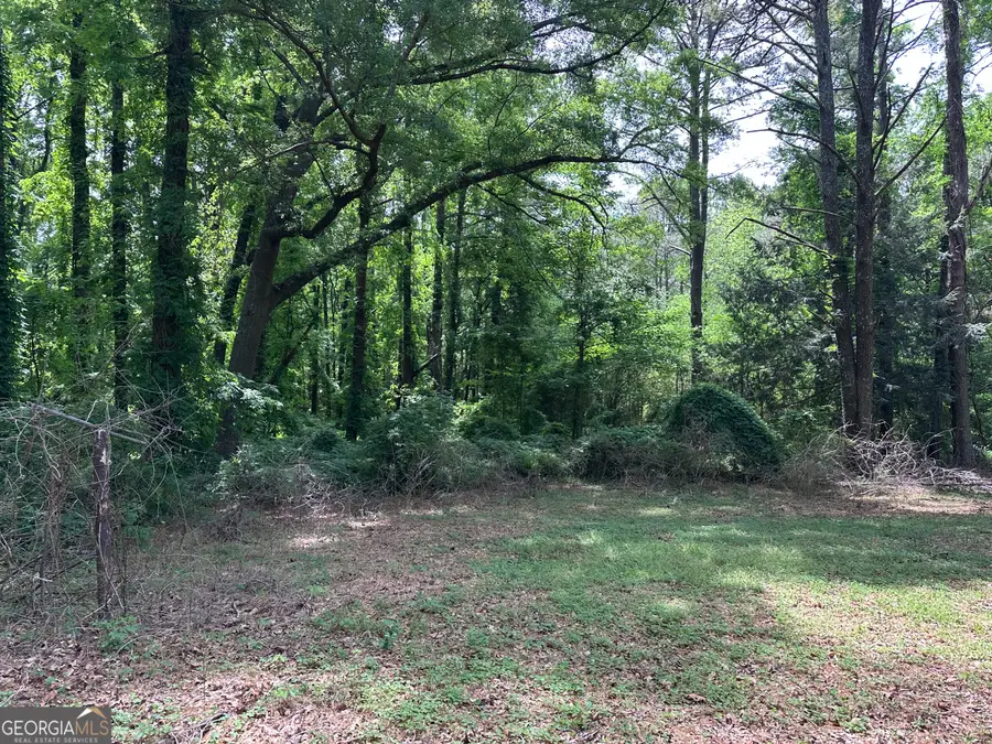 2828 Flat Shoals Road, South Fulton, GA 30349 - #3