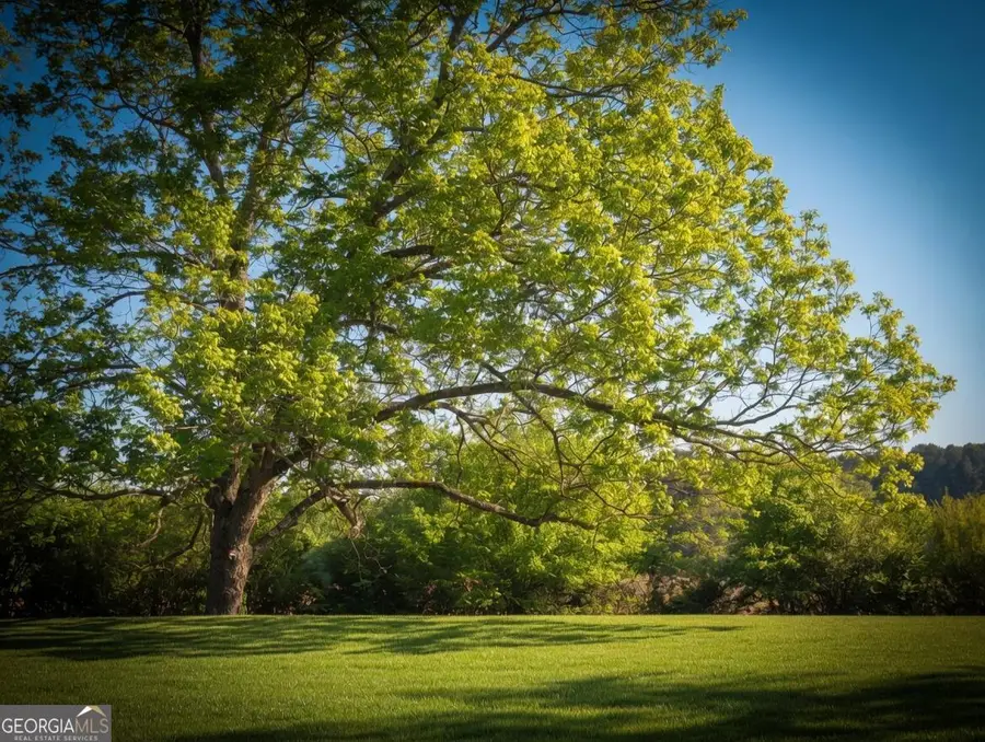 0 S Dixie Highway, Resaca, GA 30735 - #2