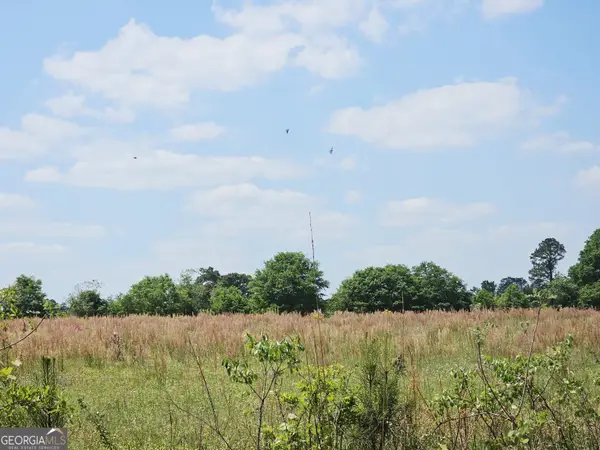 0 Lavender Road, Ivey, GA 31031