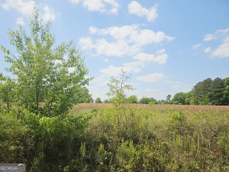 0 Lavender Road, Ivey, GA 31031 - #2