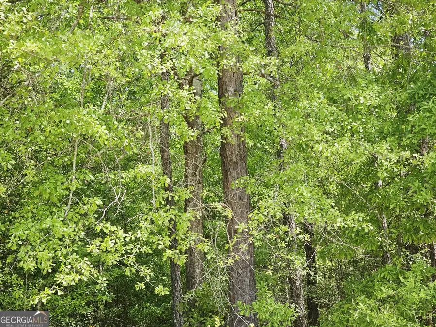 0 Lavender Road, Ivey, GA 31031 - #3