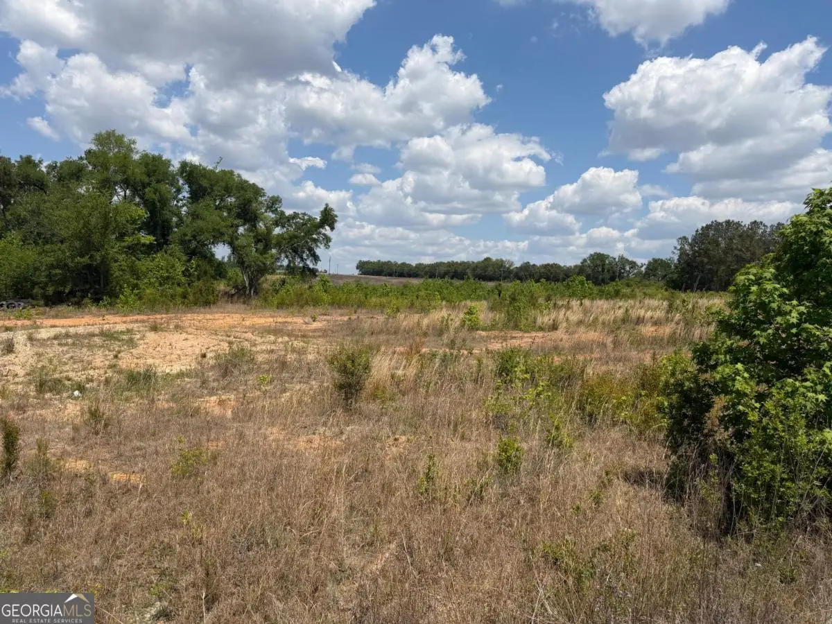 402 Grays Landing Road, Uvalda, GA 30473 - #1