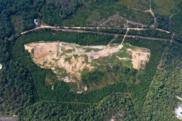 0 Martin Road, Pembroke, GA 31321