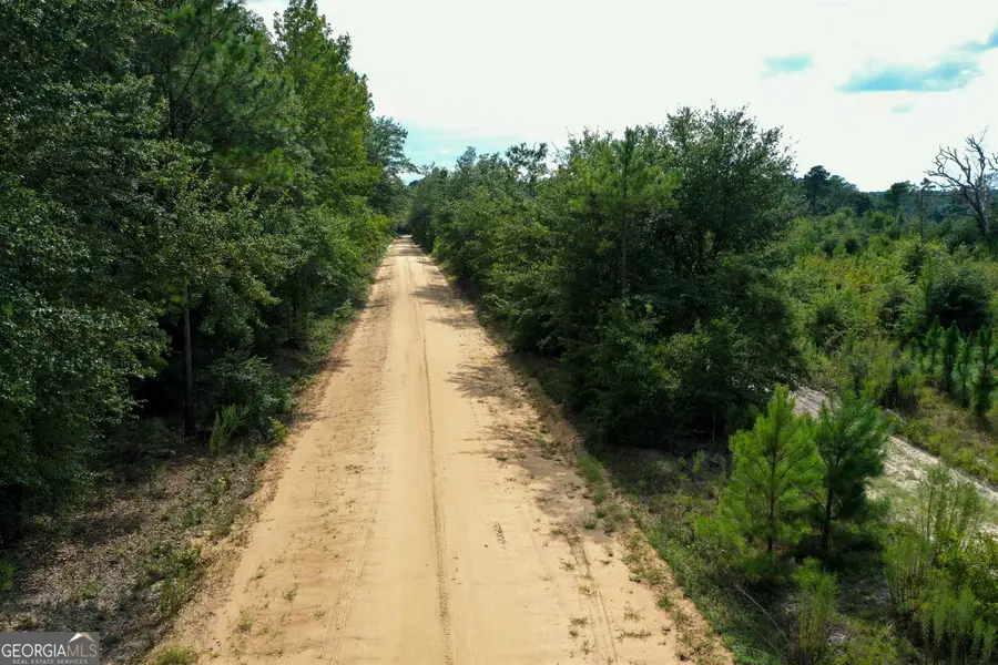 0 Martin Road, Pembroke, GA 31321 - #3