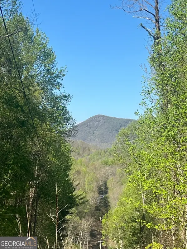 0 Happy Hill, Scaly MTN, NC 28775