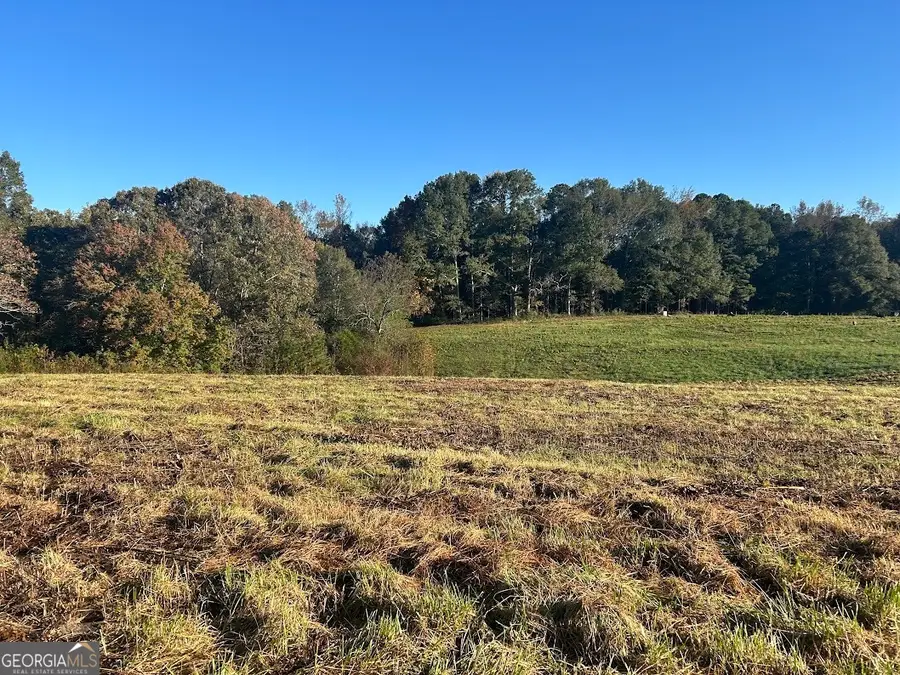 0 Old Columbus Road, Bowdon, GA 30108 - #2