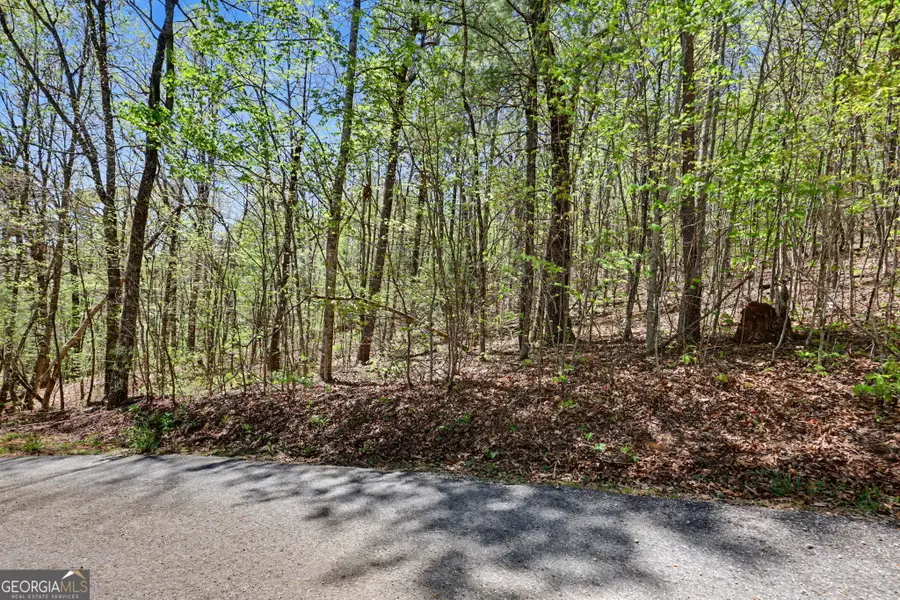 0 Roundtop Dr, Clayton, GA 30525 - #3