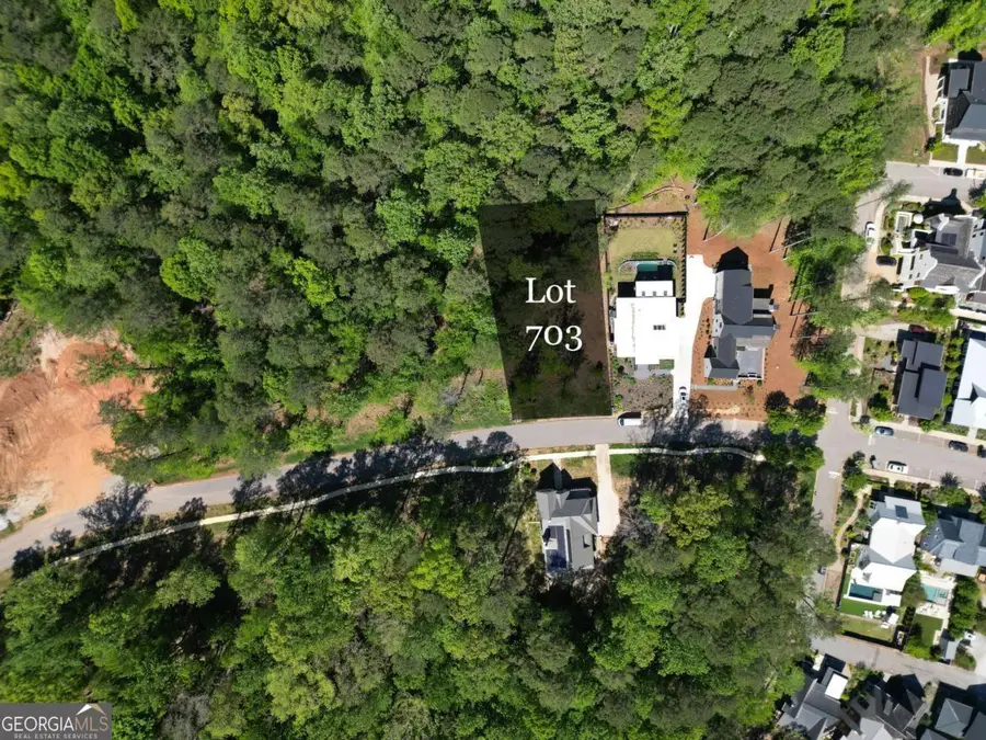 11365 Serenbe Lane, Chattahoochee Hills, GA 30268 - #2