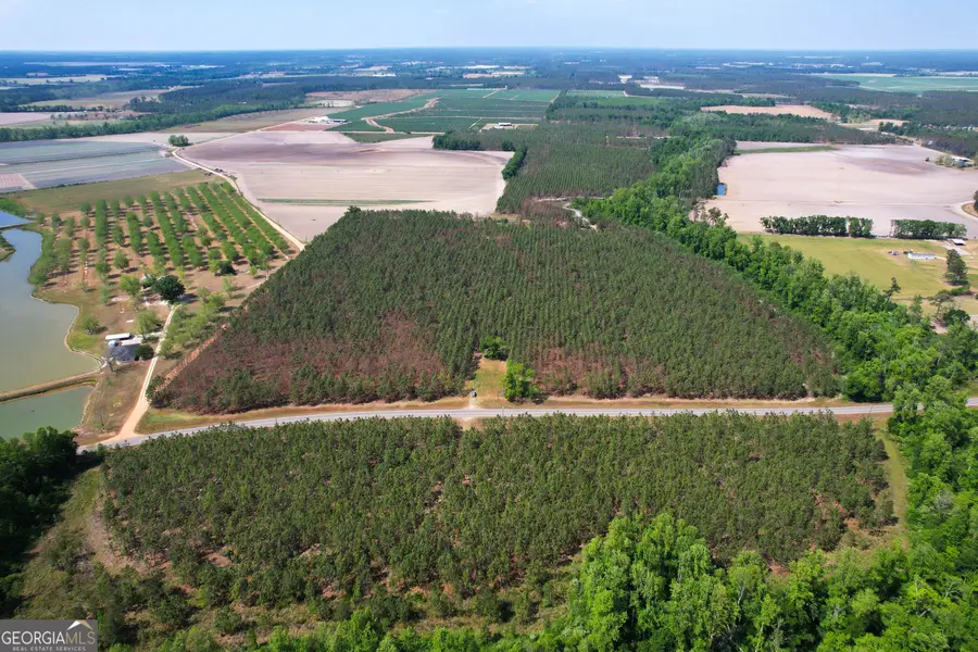 0 County Farm Road, Baxley, GA 31513 - #2