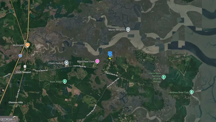 69 Eagle Neck Drive, Townsend, GA 31331 - #3