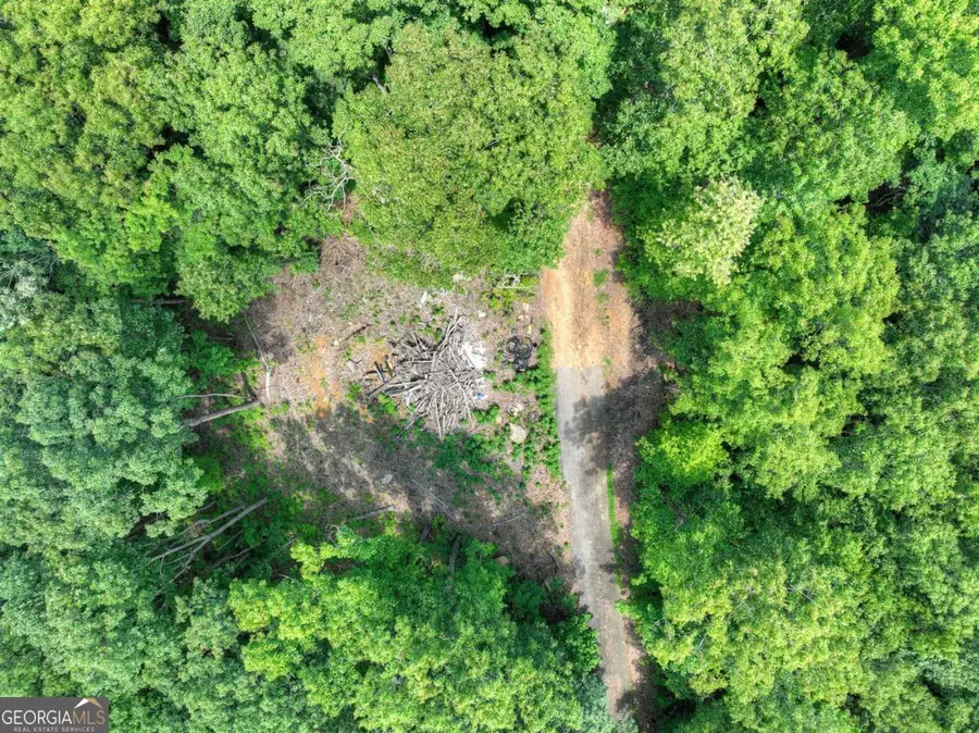 LOT 12 The Heights, Blue Ridge, GA 30513 - #2
