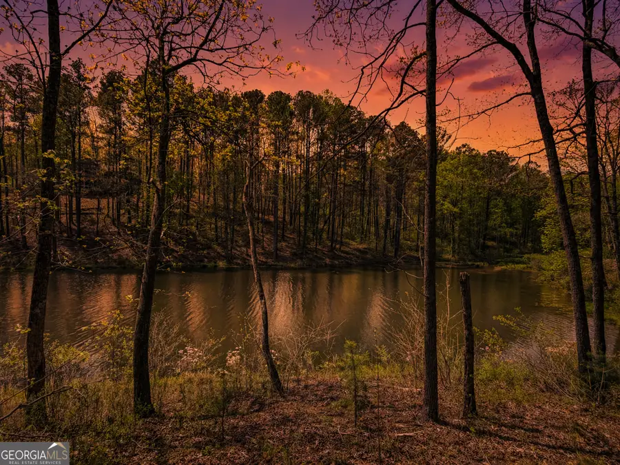 177R Overlook Way, Ellijay, GA 30536 - #3