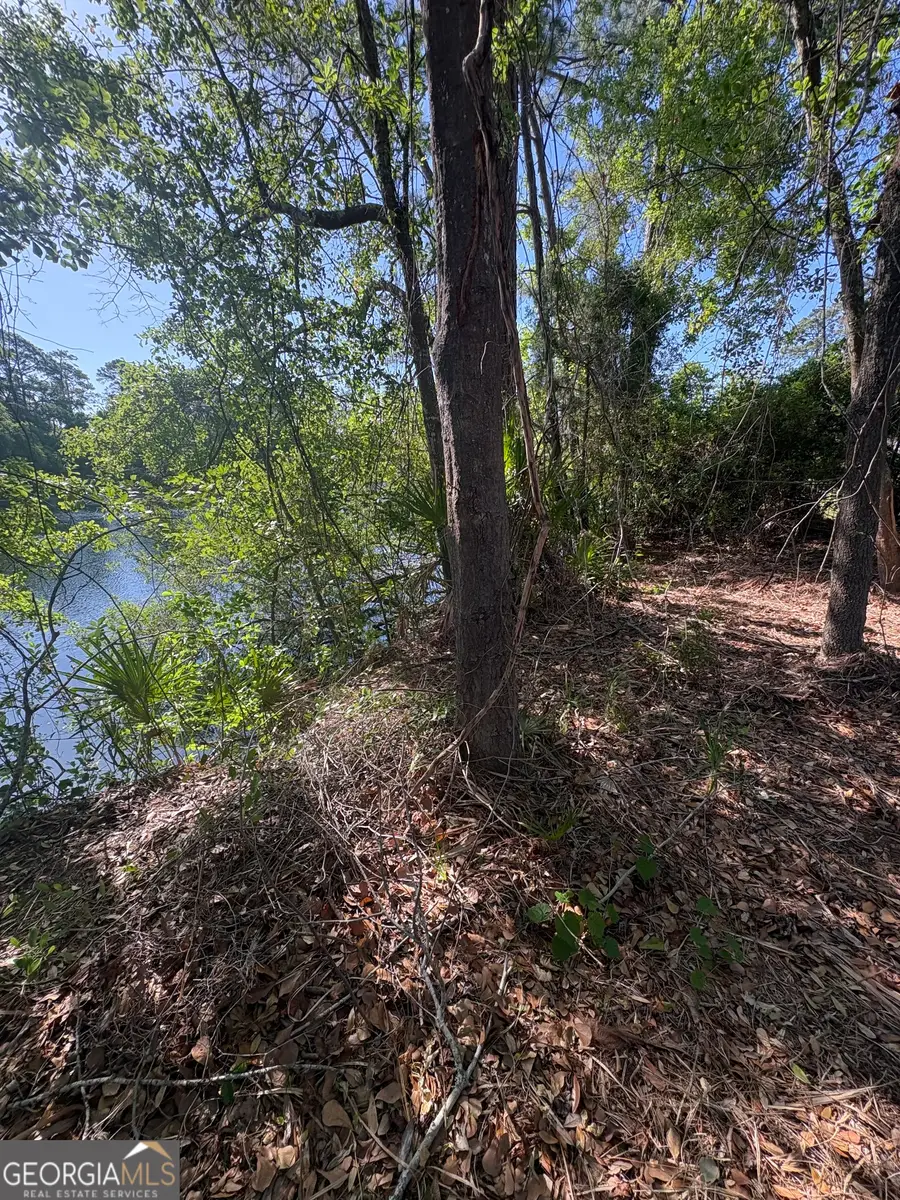 155 Palmera Lane, Brunswick, GA 31525 - #2