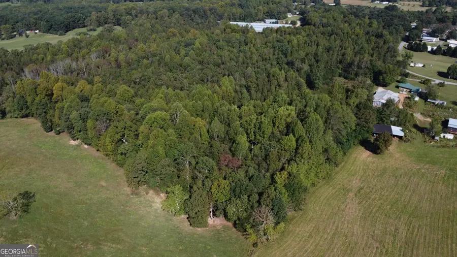 0 Holiness Campground Road, Cleveland, GA 30528 - #3