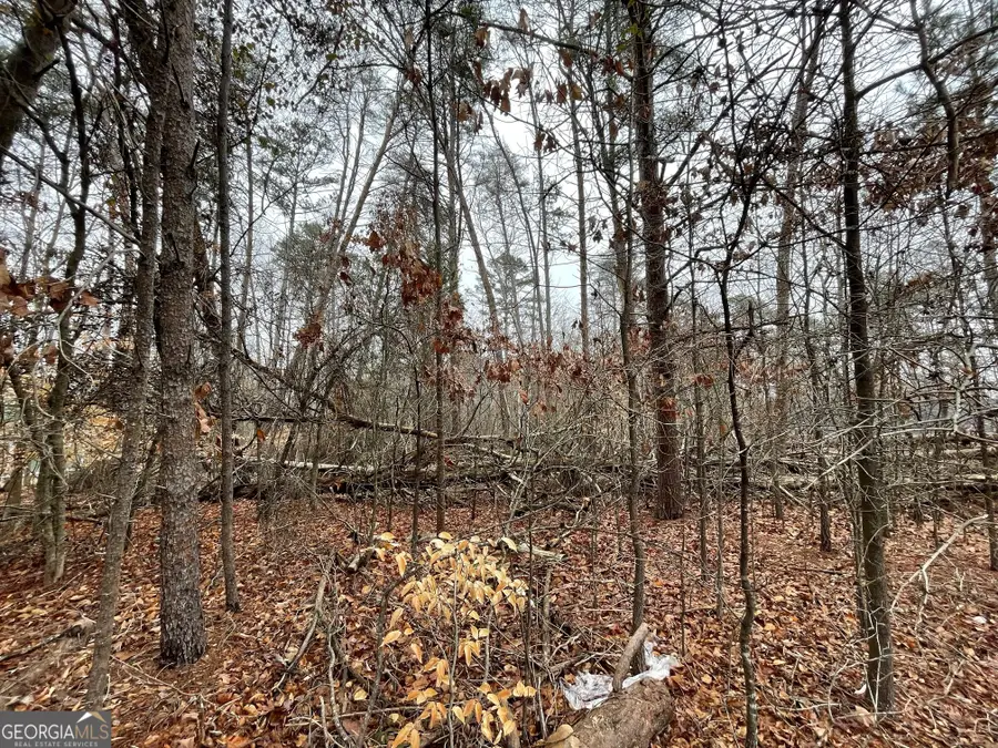 LOT 840-841 Player Lane, Westminster, SC 29693 - #3