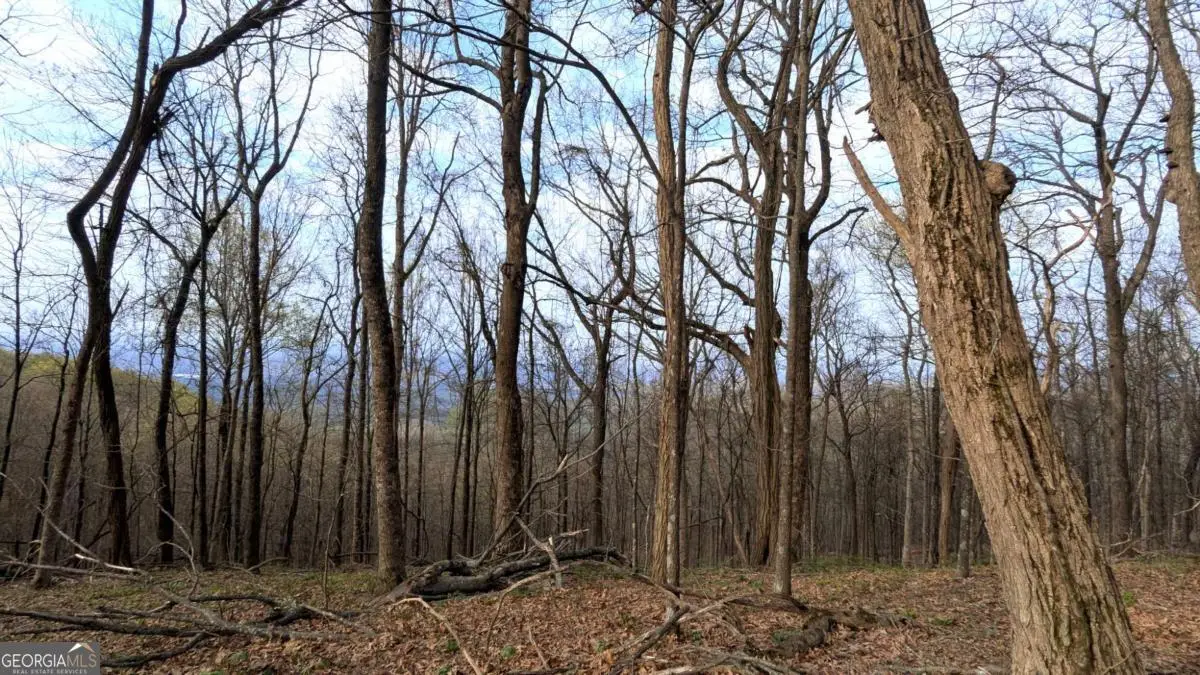 7188 Ridgeview Drive, Big Canoe, GA 30143 - #1