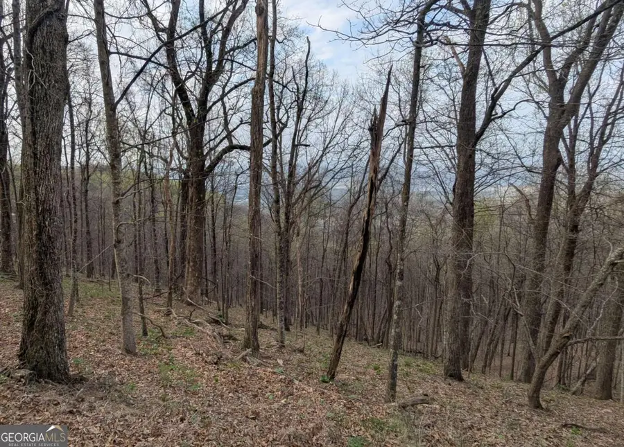 7188 Ridgeview Drive, Big Canoe, GA 30143 - #3