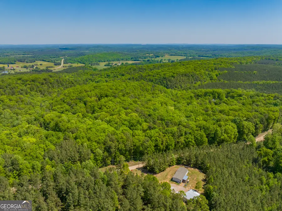 16 ACRES Gun Club Road, Buchanan, GA 30113 - #2