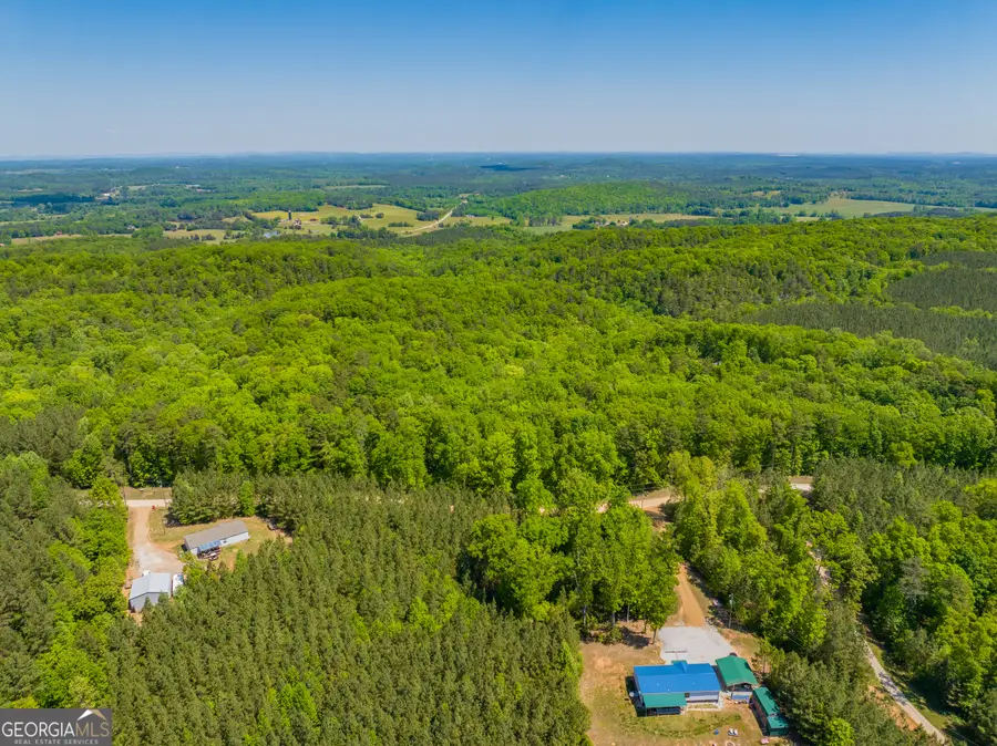 16 ACRES Gun Club Road, Buchanan, GA 30113 - #3