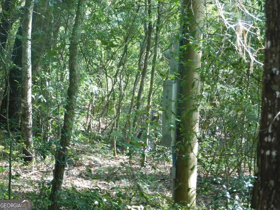 239 River Moss Road, Reidsville, GA 30453 - #2