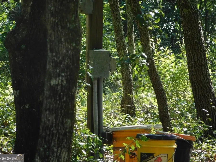 239 River Moss Road, Reidsville, GA 30453 - #3