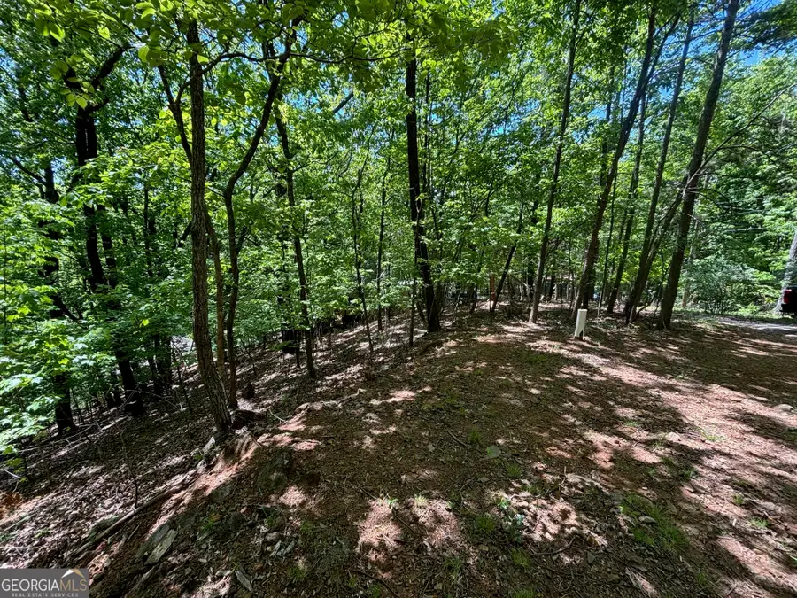 0 Lookout Ridge Road #11, Cleveland, GA 30528 - #2