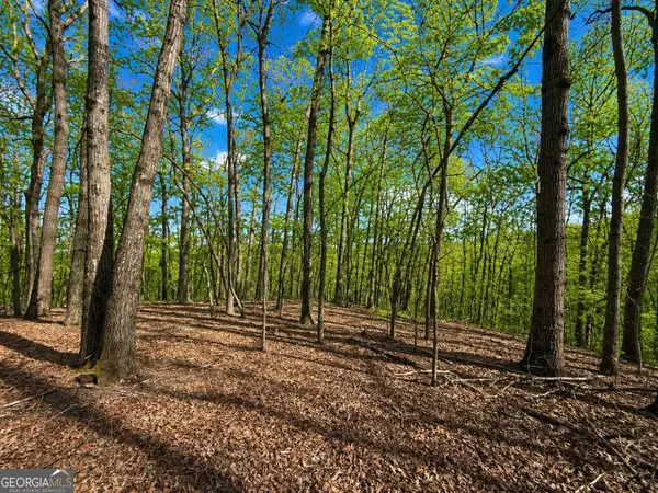 0 Burnt Mtn Cove Road, Jasper, GA 30143