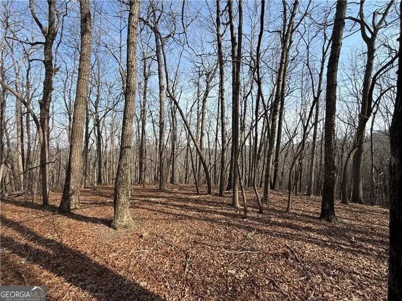 0 Burnt Mtn Cove Road, Jasper, GA 30143 - #2