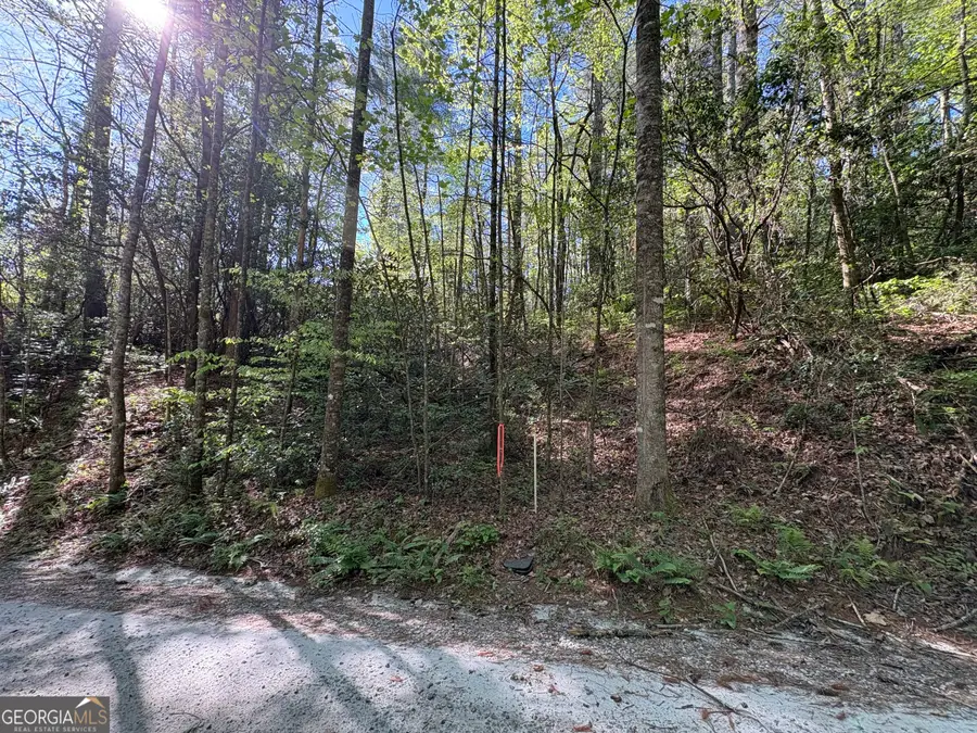 0 Western Way, Rabun Gap, GA 30568 - #2