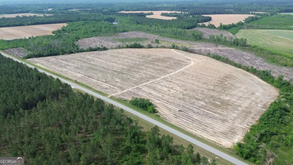 0 Bunn Store Road #TRACT 3, Midville, GA 30441 - #1