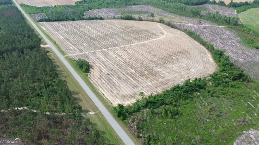 0 Bunn Store Road #TRACT 4, Midville, GA 30441 - #3