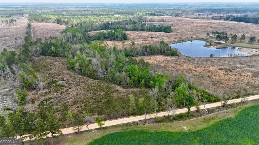 0 Sand Hill Road, Swainsboro, GA 30401 - #3