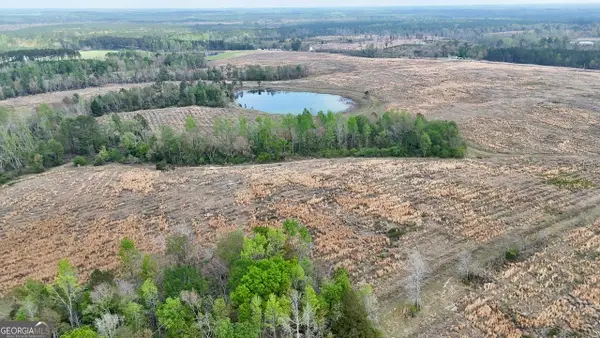 TRACT 2 Mount Shady Church Road, Swainsboro, GA 30401