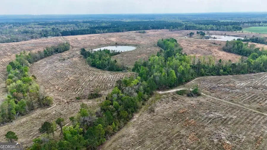 TRACT 2 Mount Shady Church Road, Swainsboro, GA 30401 - #2