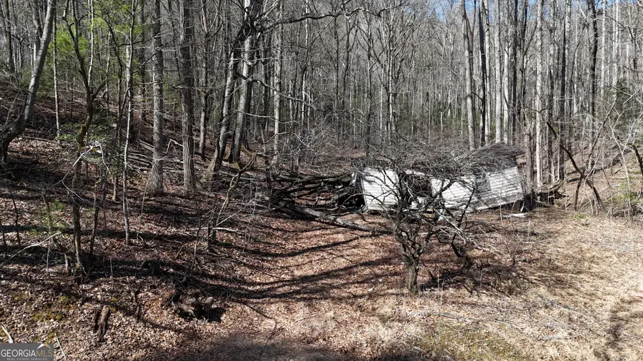 3561 Goshen Creek Road, Clarkesville, GA 30523 - #2