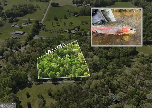 LOT 3 Fenwick Wood Road, Clarkesville, GA 30523