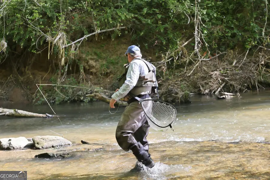 LOT 3 Fenwick Wood Road, Clarkesville, GA 30523 - #3