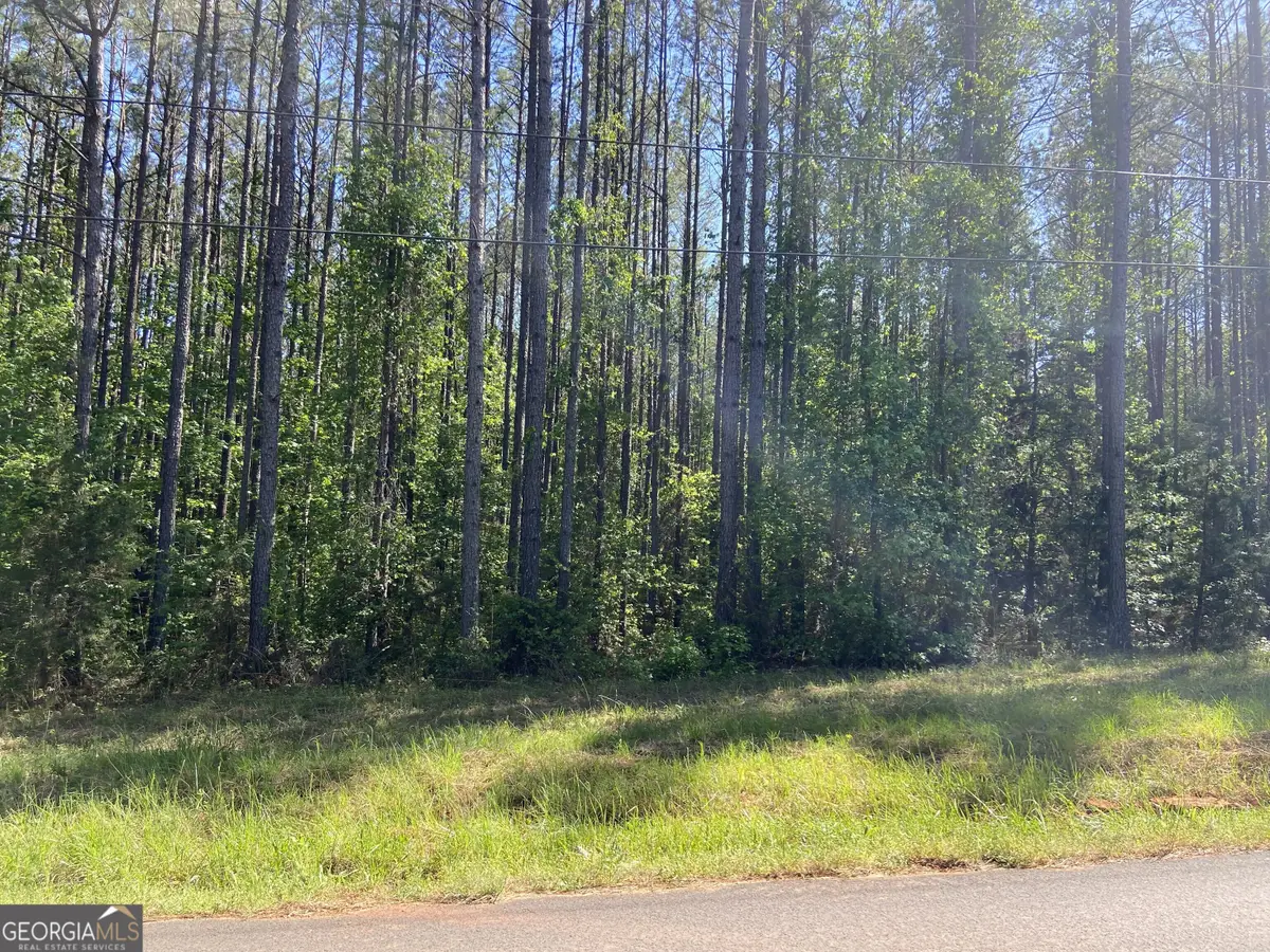 711 Mccommon Road, Forsyth, GA 31029 - #1