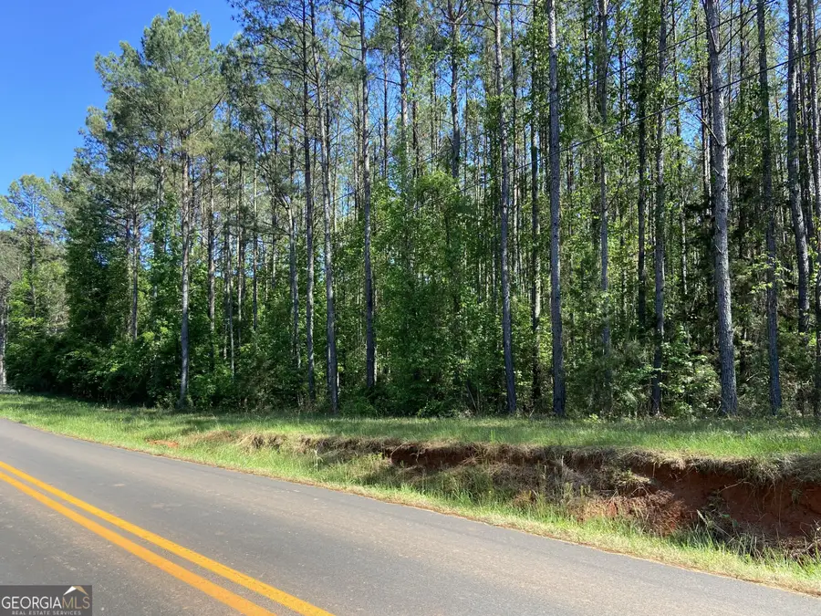 711 Mccommon Road, Forsyth, GA 31029 - #3