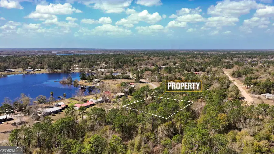 91 Lake Carroll Drive, Donalsonville, GA 39845 - #2