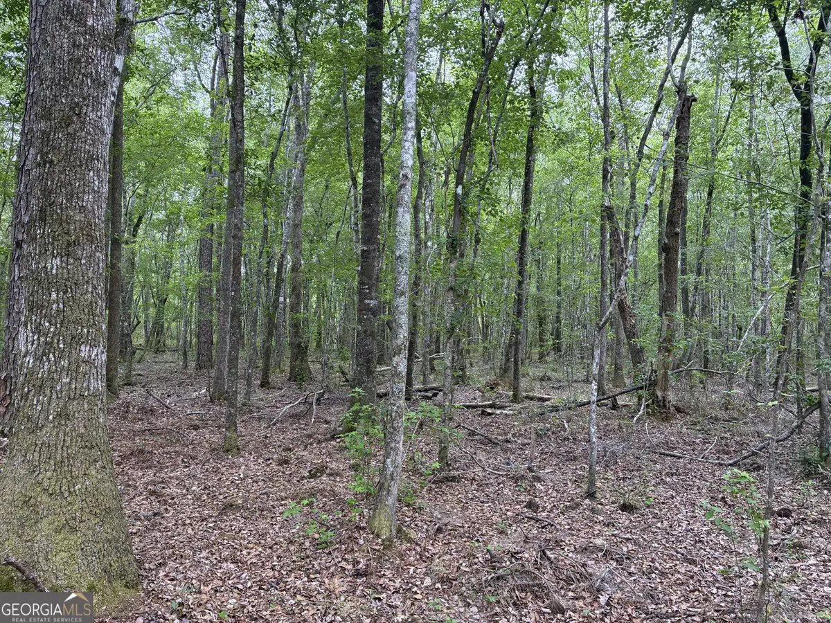 734 Archer Pond Smith Road, Adrian, GA 31002 - #1