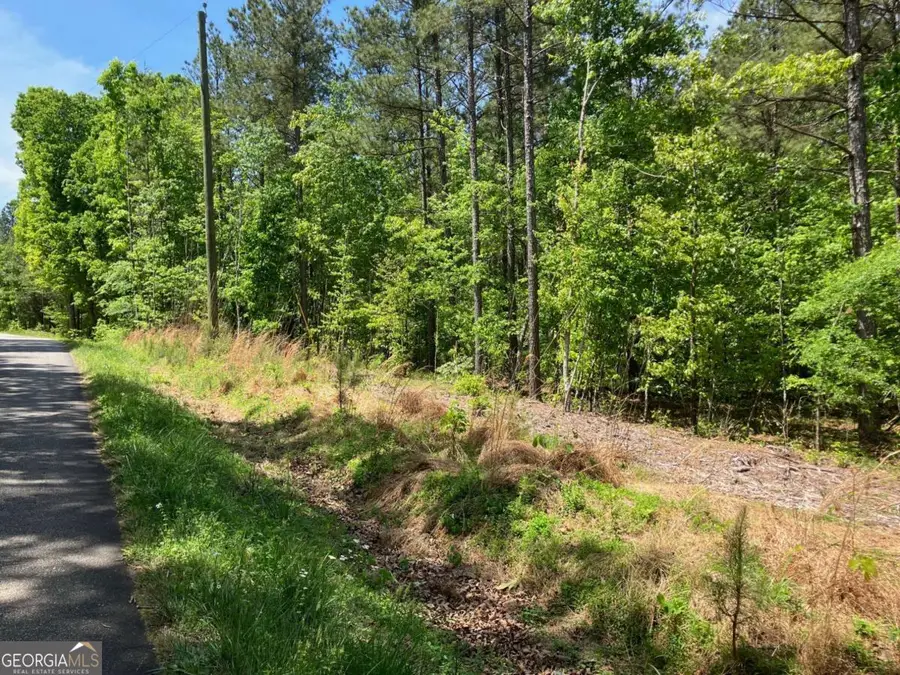 325 Rock Fence Road Nw, Adairsville, GA 30103 - #3