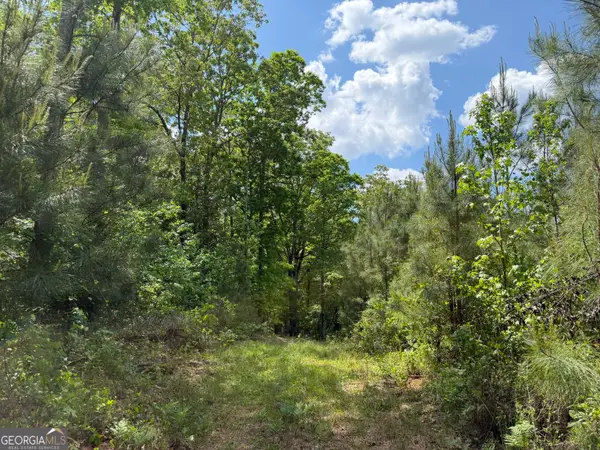 014 George Milling Road, Cuthbert, GA 39840