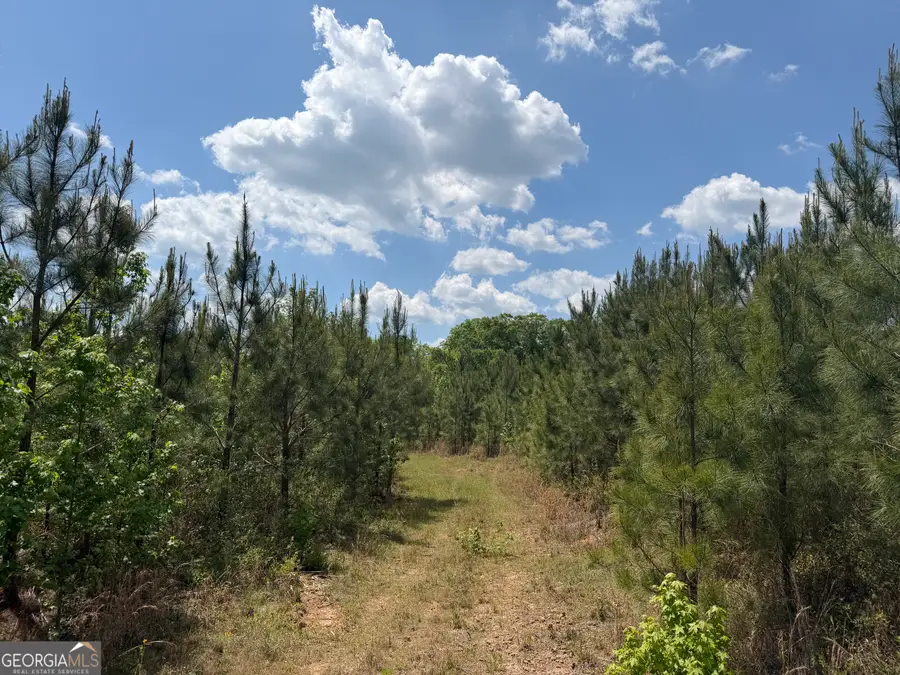 014 George Milling Rd, Cuthbert, GA 39840 - #2