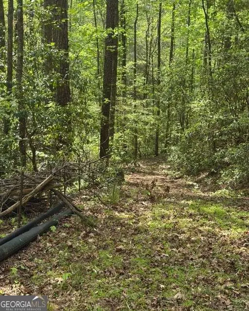 348 Hemlock Trail, Ellijay, GA 30540