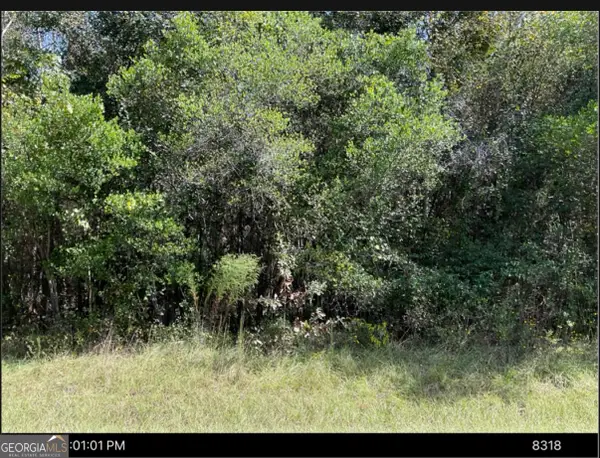 1875 Oochee Creek Road, Toomsboro, GA 31090