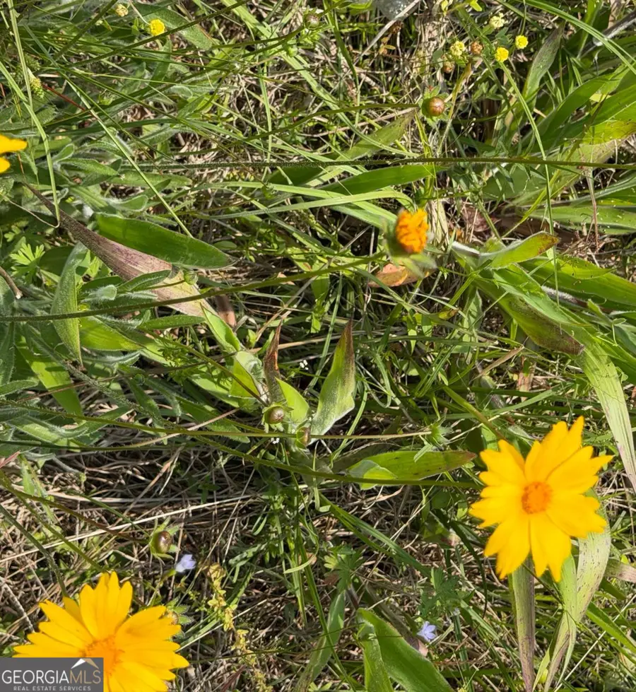 1875 Oochee Creek Road, Toomsboro, GA 31090 - #2